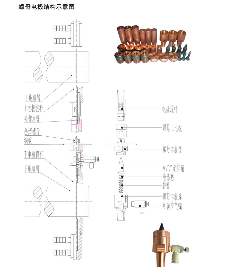 แผนผังโครงสร้างอิเล็กโทรดอ่อนนุช